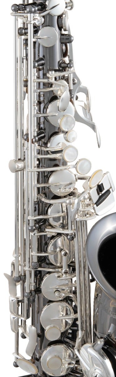 Buy sasku Selmer SAS711B Professional Alto Saxophone Outfit (Black