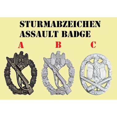 ASSUALT-BADGE.jpg