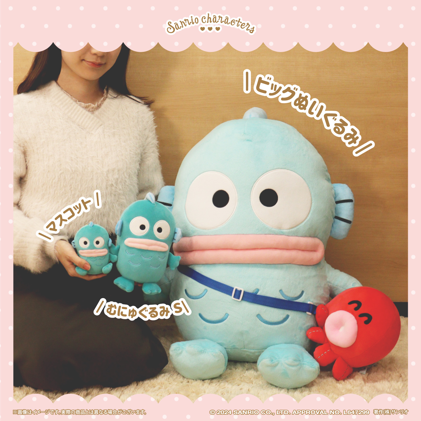 サンリオキャラクターズ「ビッグぬいぐるみ ともだちポシェット付き