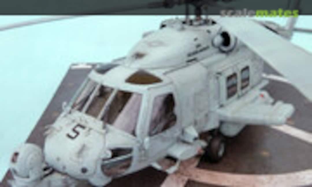 Sikorsky HH-60J Jayhawk, Skunkmodels 48010 (2011)