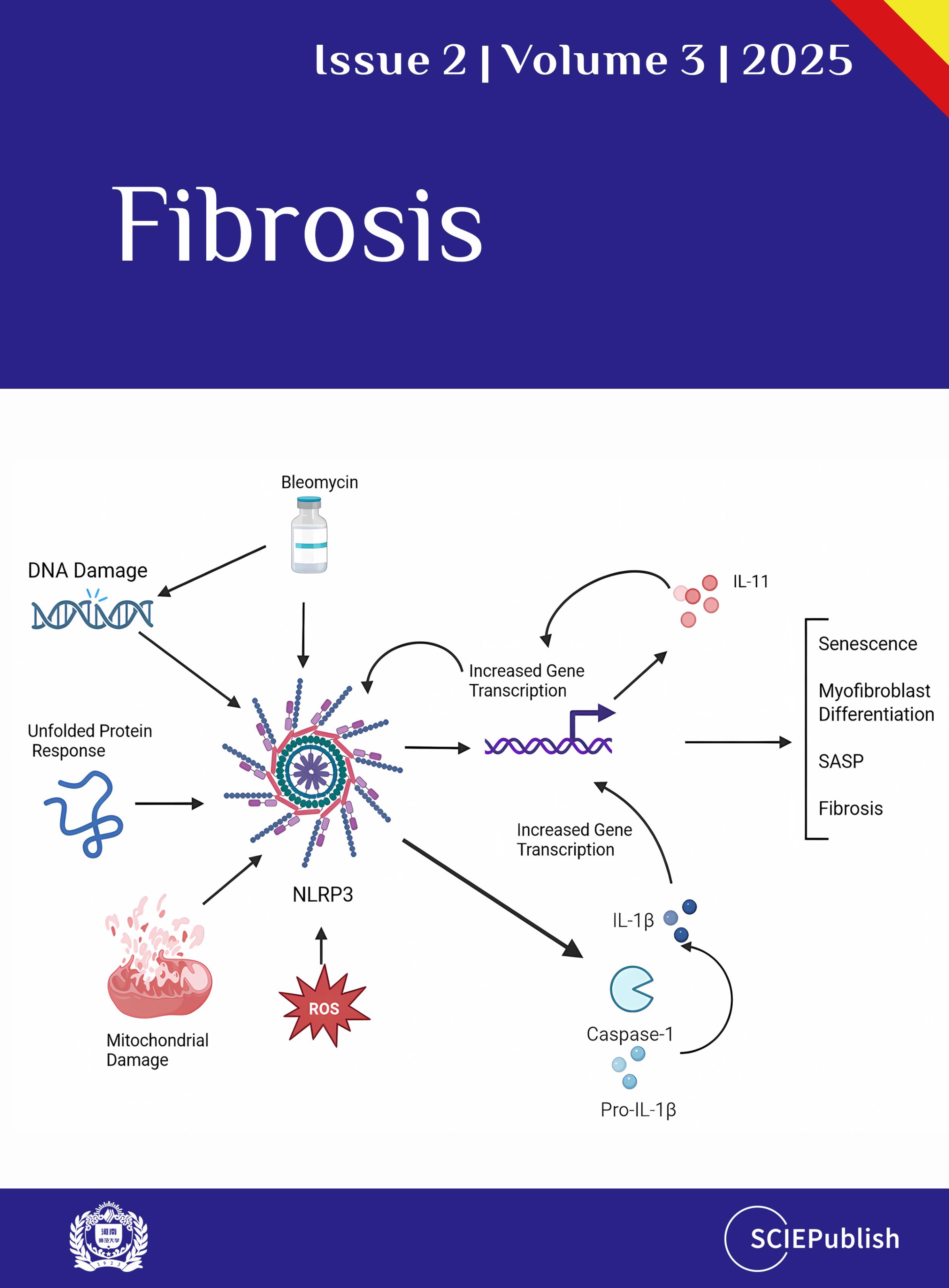 Fibroblast Migration in Fibrosis - Fibrosis - Full-Text HTML