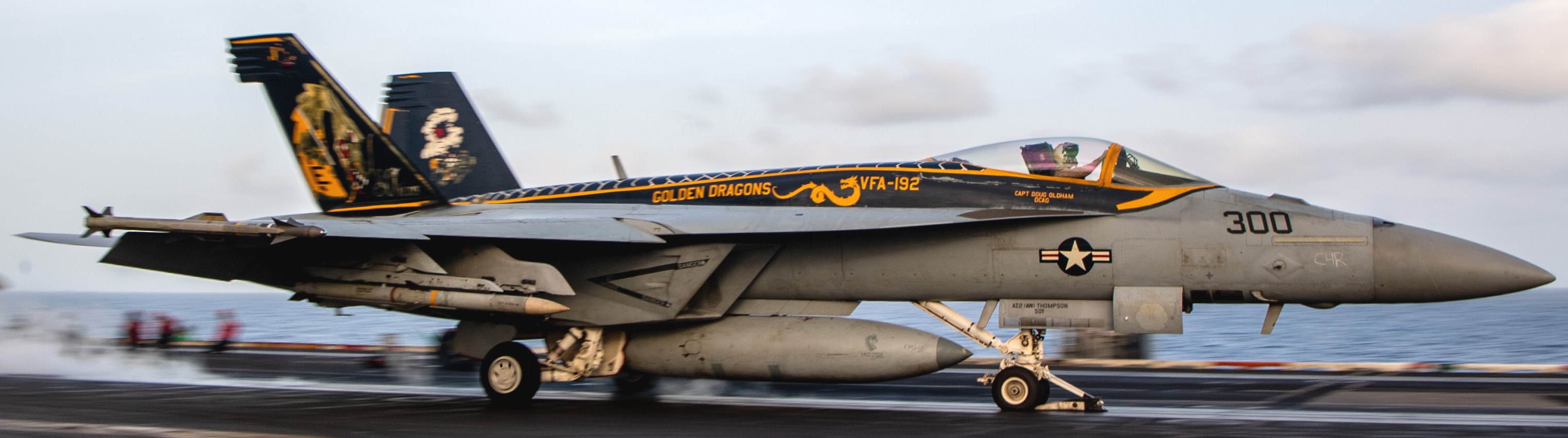 VFA-192 Golden Dragons Strike Fighter Squadron F/A-18 Hornet
