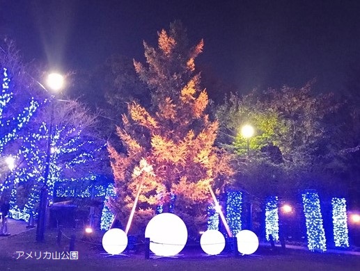 アメリカ山公園 ROOFTOP ILLUMINATION スタート！｜公園だより｜横浜市