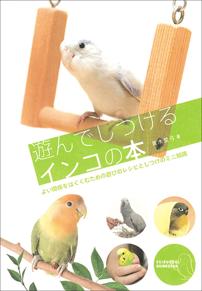 遊んでしつける インコの本 | 株式会社誠文堂新光社