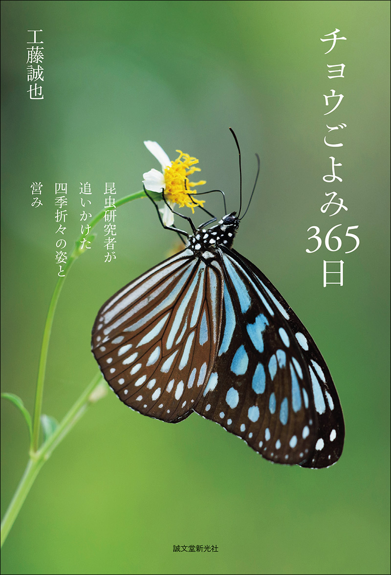 チョウごよみ365日 | 株式会社誠文堂新光社