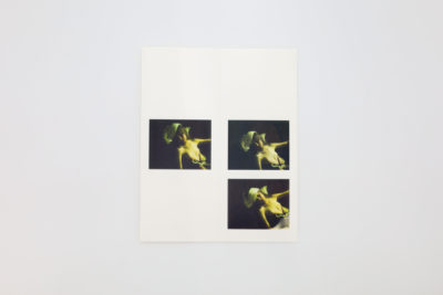 Balthus / room17｜青幻舎 SEIGENSHA Art Publishing, Inc.