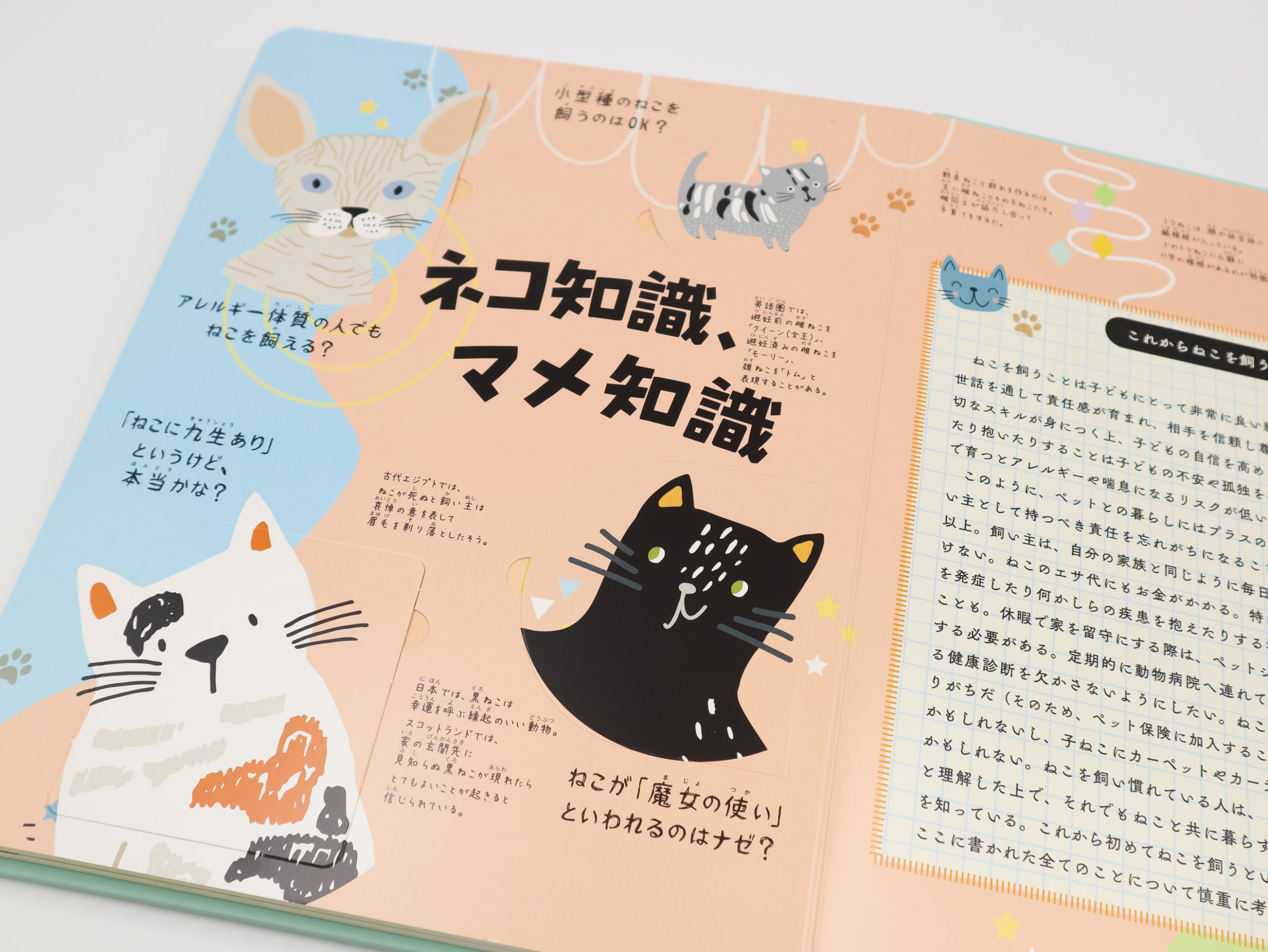 にゃんとわかる ねこのひみつ｜青幻舎 SEIGENSHA Art Publishing, Inc.