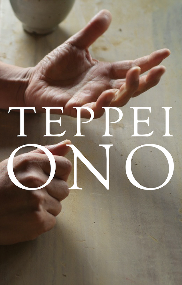 TEPPEI ONO 小野哲平作品集｜青幻舎 SEIGENSHA Art Publishing, Inc.