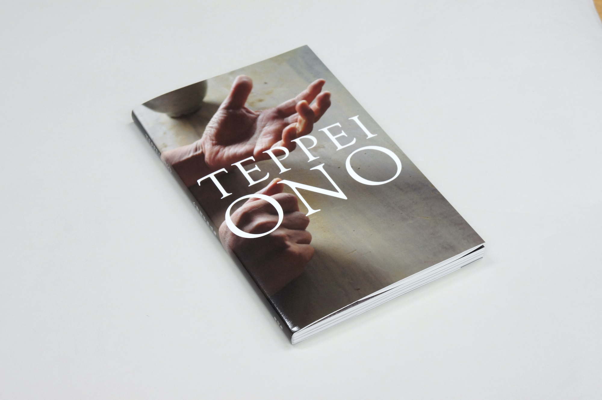 TEPPEI ONO 小野哲平作品集｜青幻舎 SEIGENSHA Art Publishing, Inc.