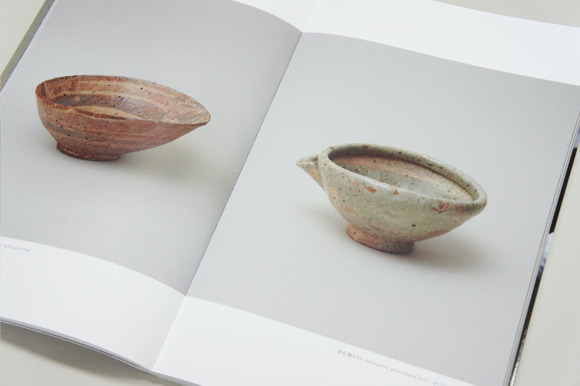 TEPPEI ONO 小野哲平作品集｜青幻舎 SEIGENSHA Art Publishing, Inc.