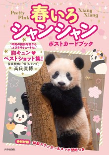 シャンシャンの夏休み｜青春出版社