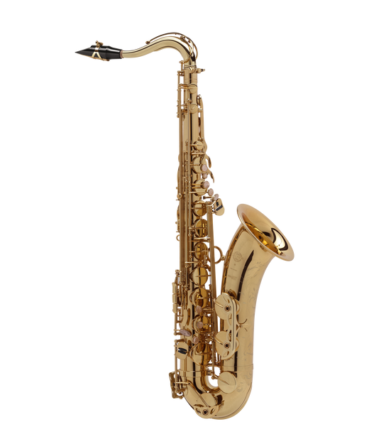 Henri SELMER Paris - Super Action 80 Series II tenor saxophone