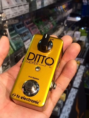 エフェクター】上達に必携！稲垣先生オススメtc electronic ditto