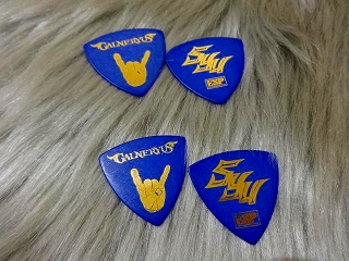 入荷情報】GALNERYUS Syu New Pick｜島村楽器 イオンモール松本店