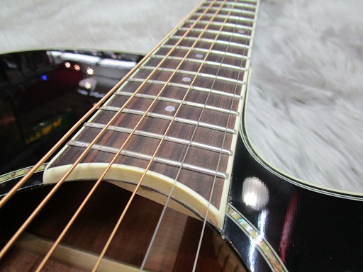 エレアコ】アイバニーズ AEGシリーズ入荷しました｜島村楽器 イオン