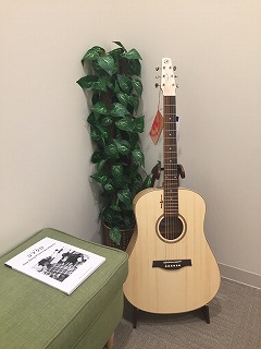 アコギ】シーガル NE AT T35 コブクロ小渕健太郎氏も使用されています