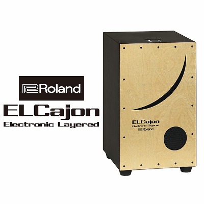 新製品】世界初 エレクトロニックレイヤードカホン『EC-10』が入荷しま