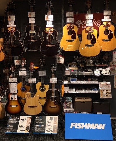 Martin with FISHMAN & HISTORY with L.R.Baggs ピックアップ弾き比べ