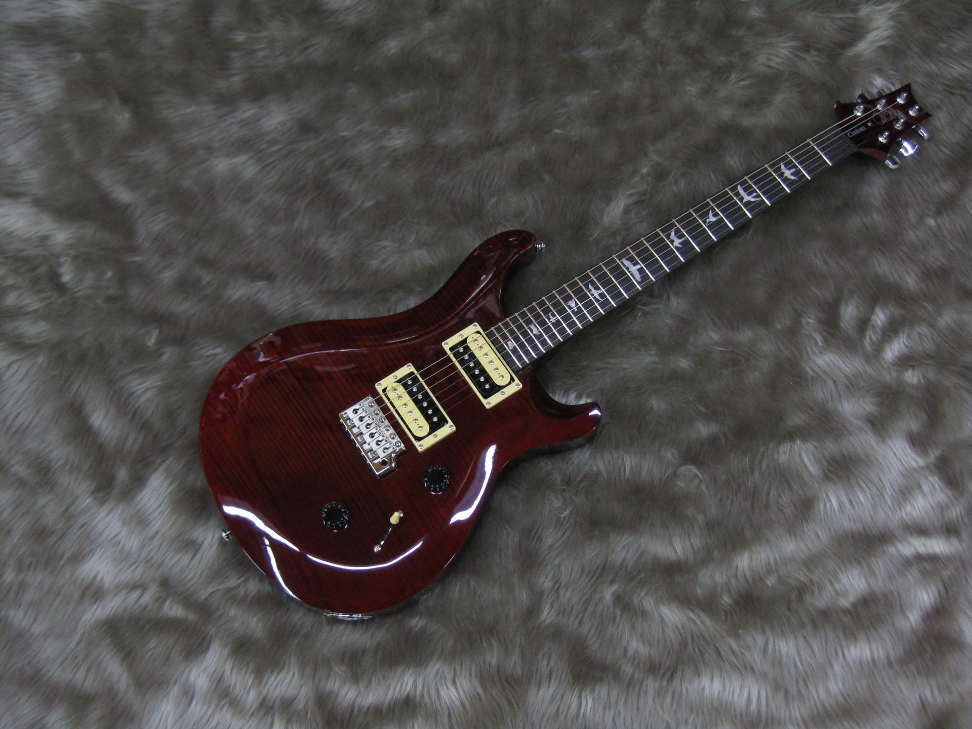 エレキギター】新入荷!!PRS SE CUSTOM 24 N｜島村楽器 洛北阪急スクエア店
