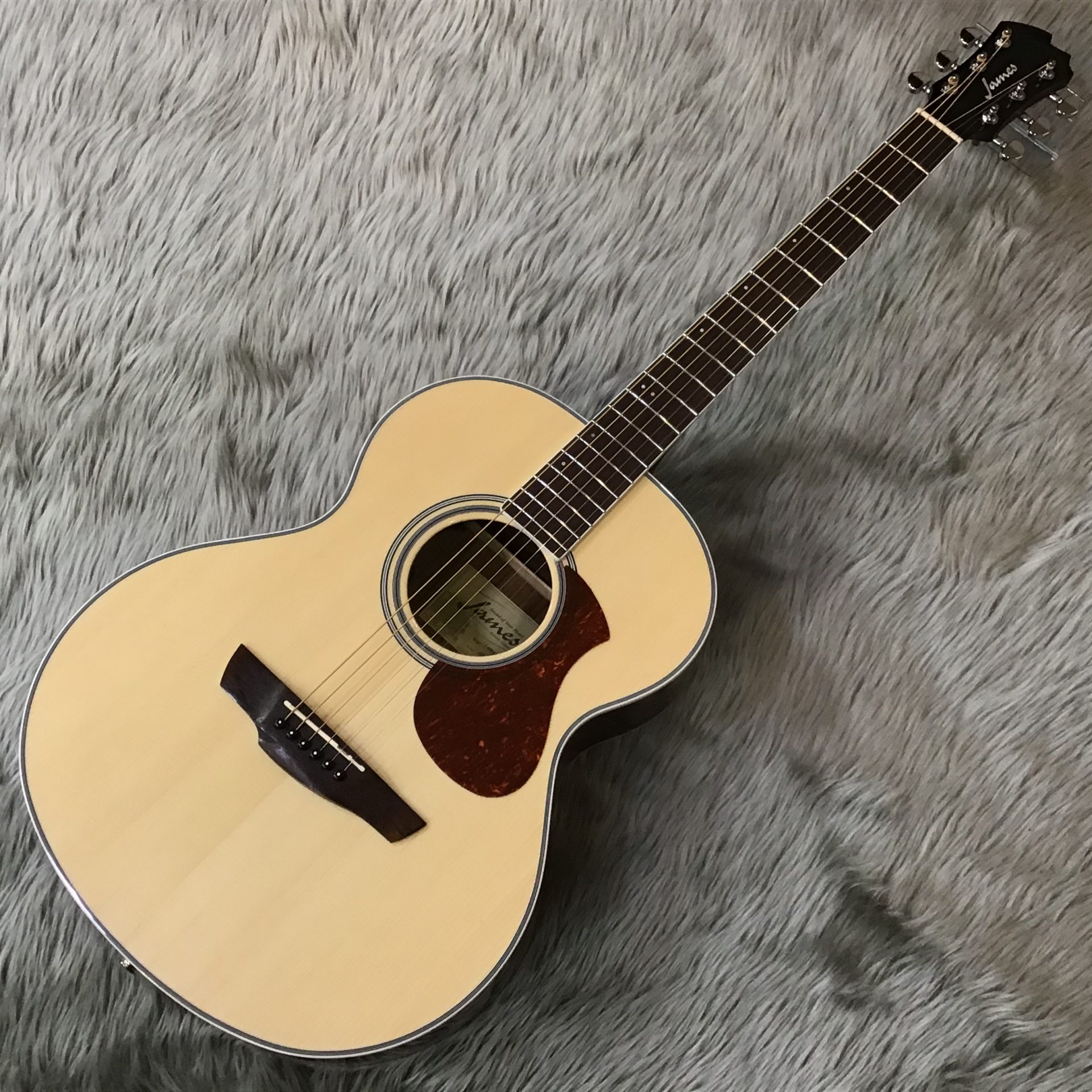 アコースティックギター】JamesのスポットモデルJ-450A/Ova ＆ J-450D