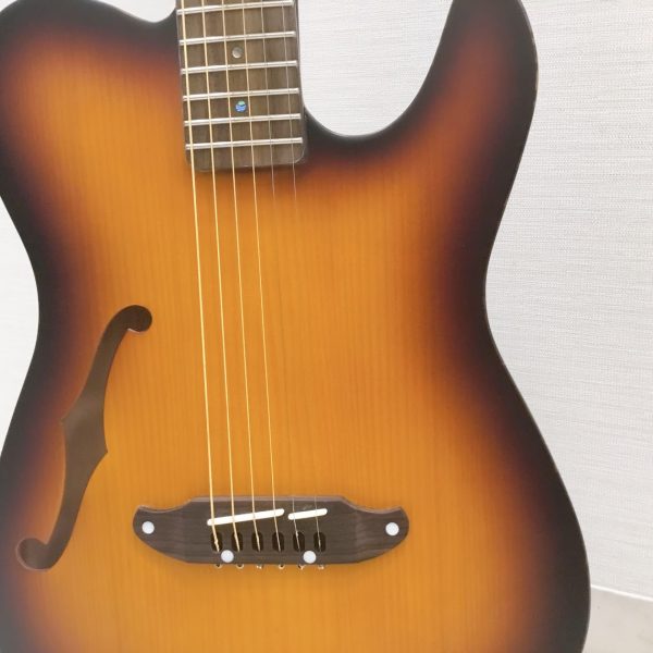 20230708-schecter-ol-fl-3-
