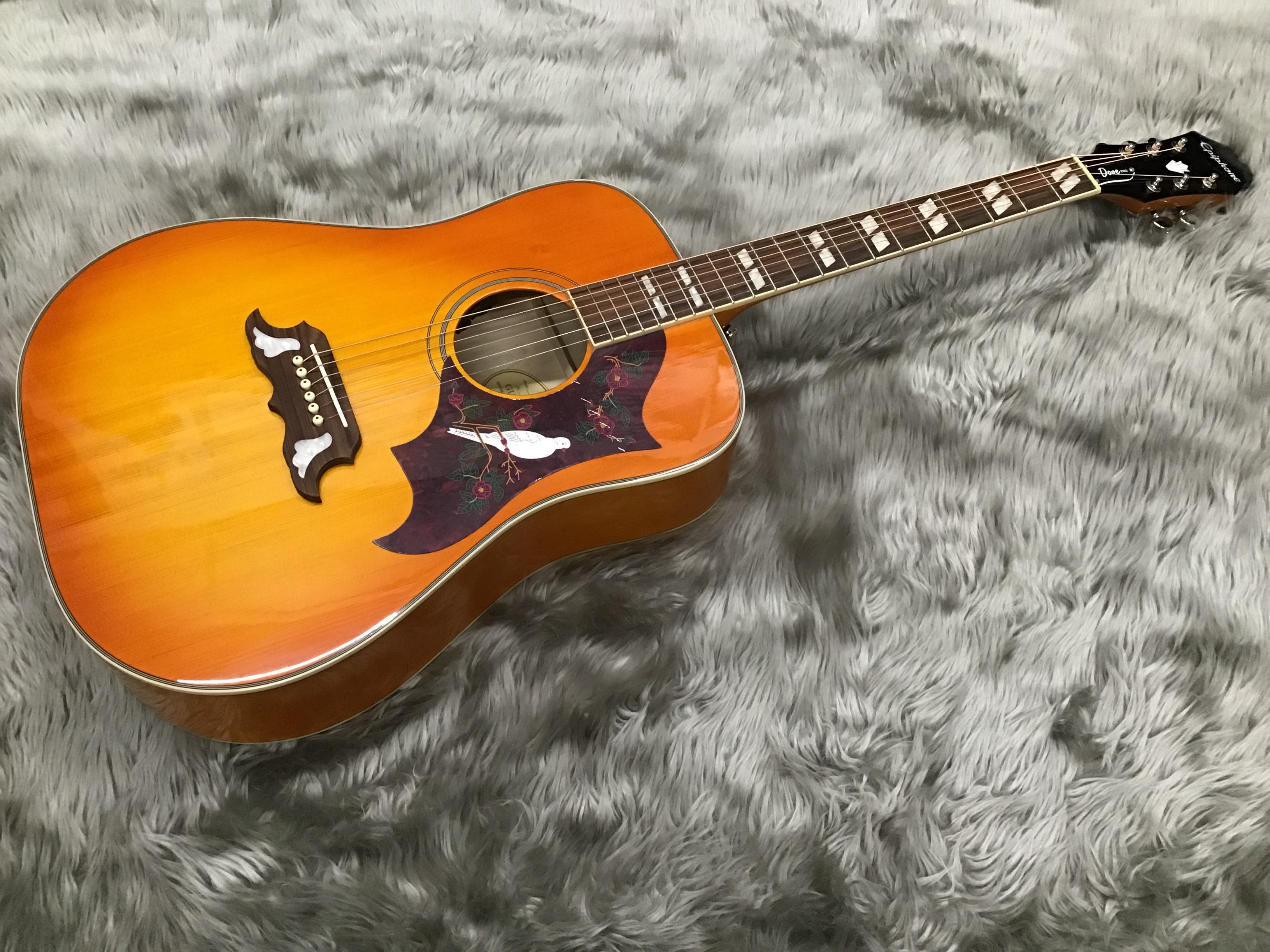 人気ブランドのEpiphoneエレアコで弾き語りを始めよう！｜島村楽器