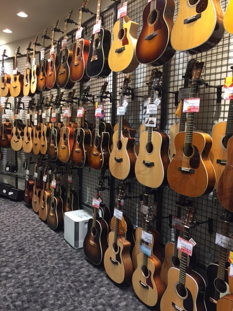 アコギ】ソロ・ギターフェア♪♪｜島村楽器 名古屋パルコ店