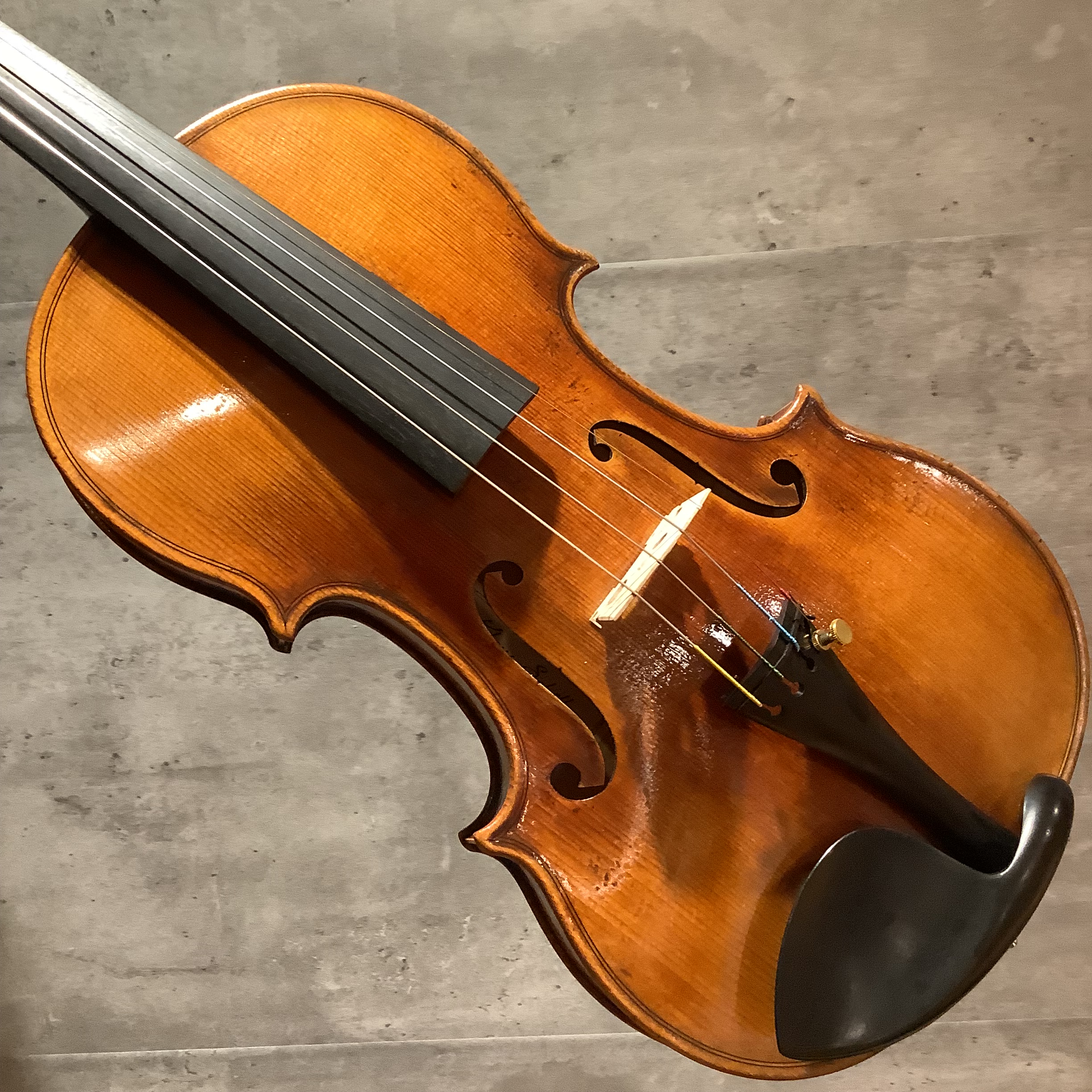 バイオリン入荷情報】Karl Hofner最高峰モデルのKlaus Scholler