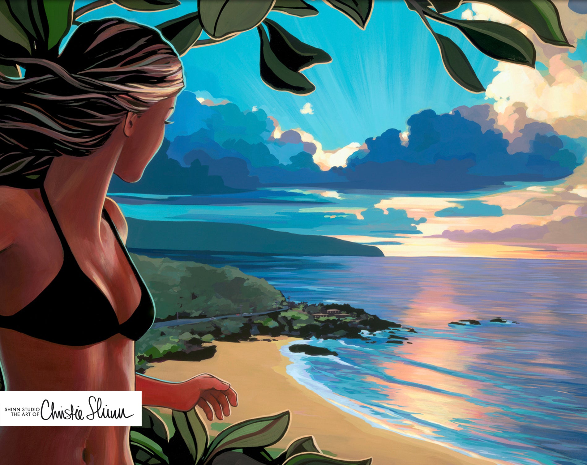 ABOVE WAIMEA – Shinn Studio