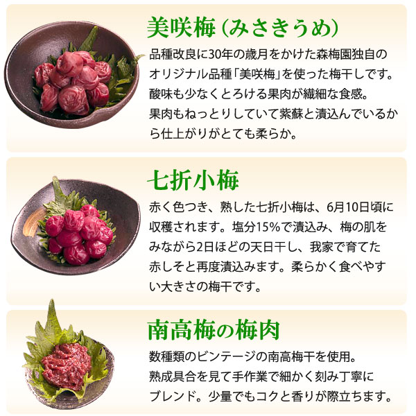 大分県産 南高梅の梅肉