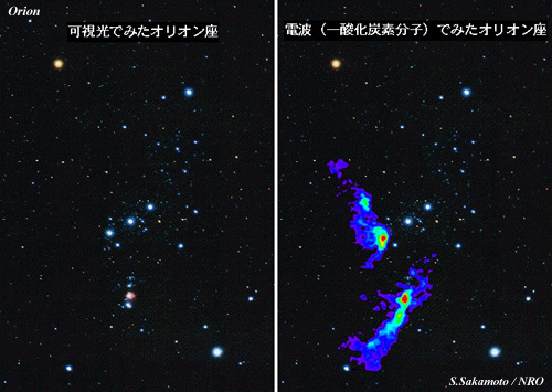 Orion Giant Molecular Cloud