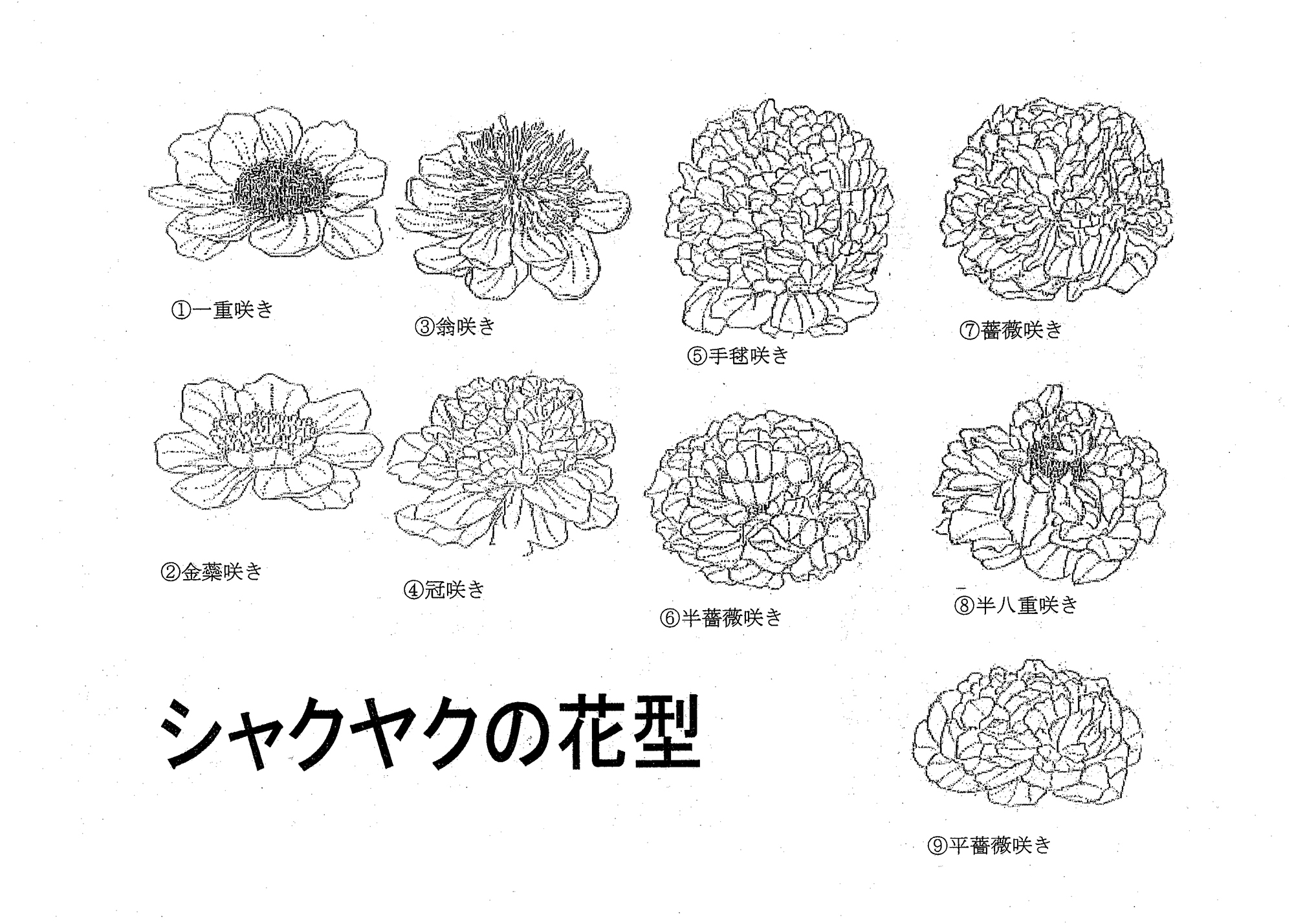 第二回 