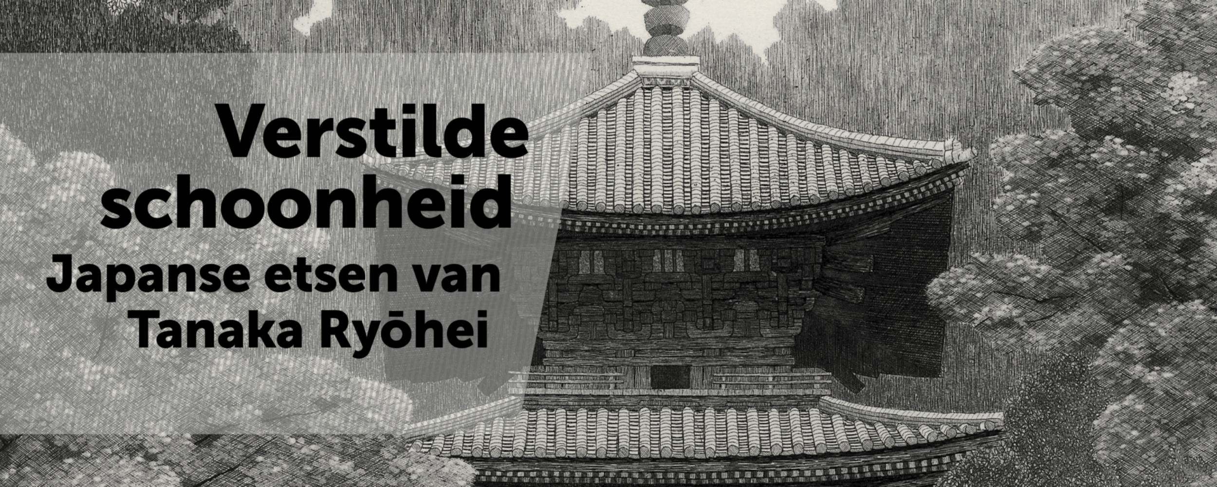 Sieboldhuis | 静寂の美：田中良平版画展