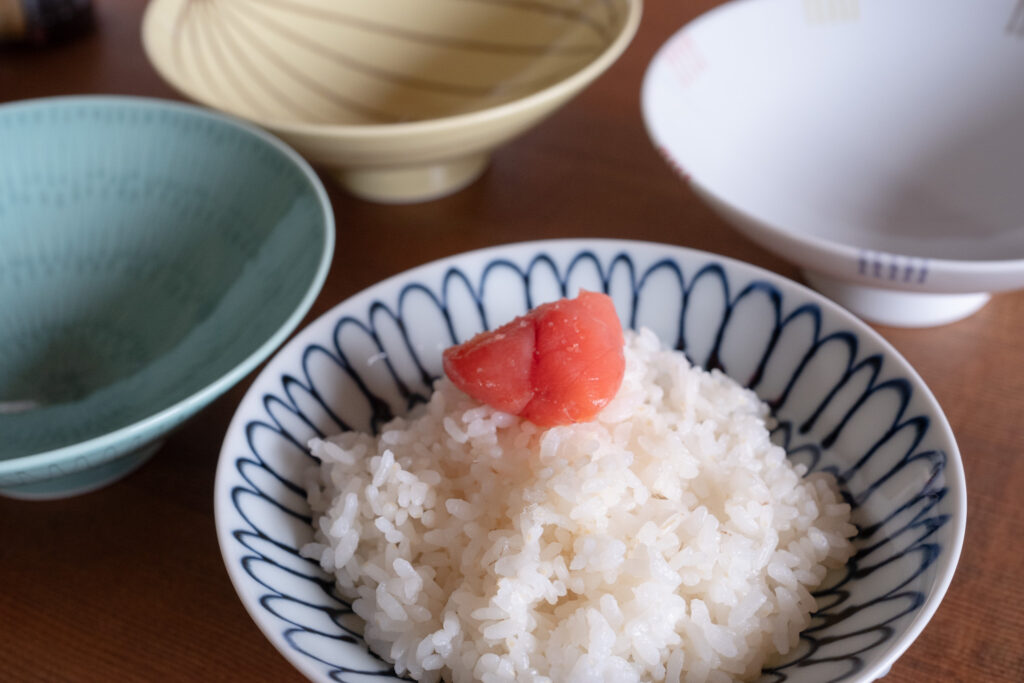 森正洋の平形めし茶碗【POP UP UTSUWA 2024/4/3〜6/30 】