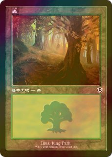 FOIL] ヴェールのリリアナ/Liliana of the Veil (旧枠) 【日本語版