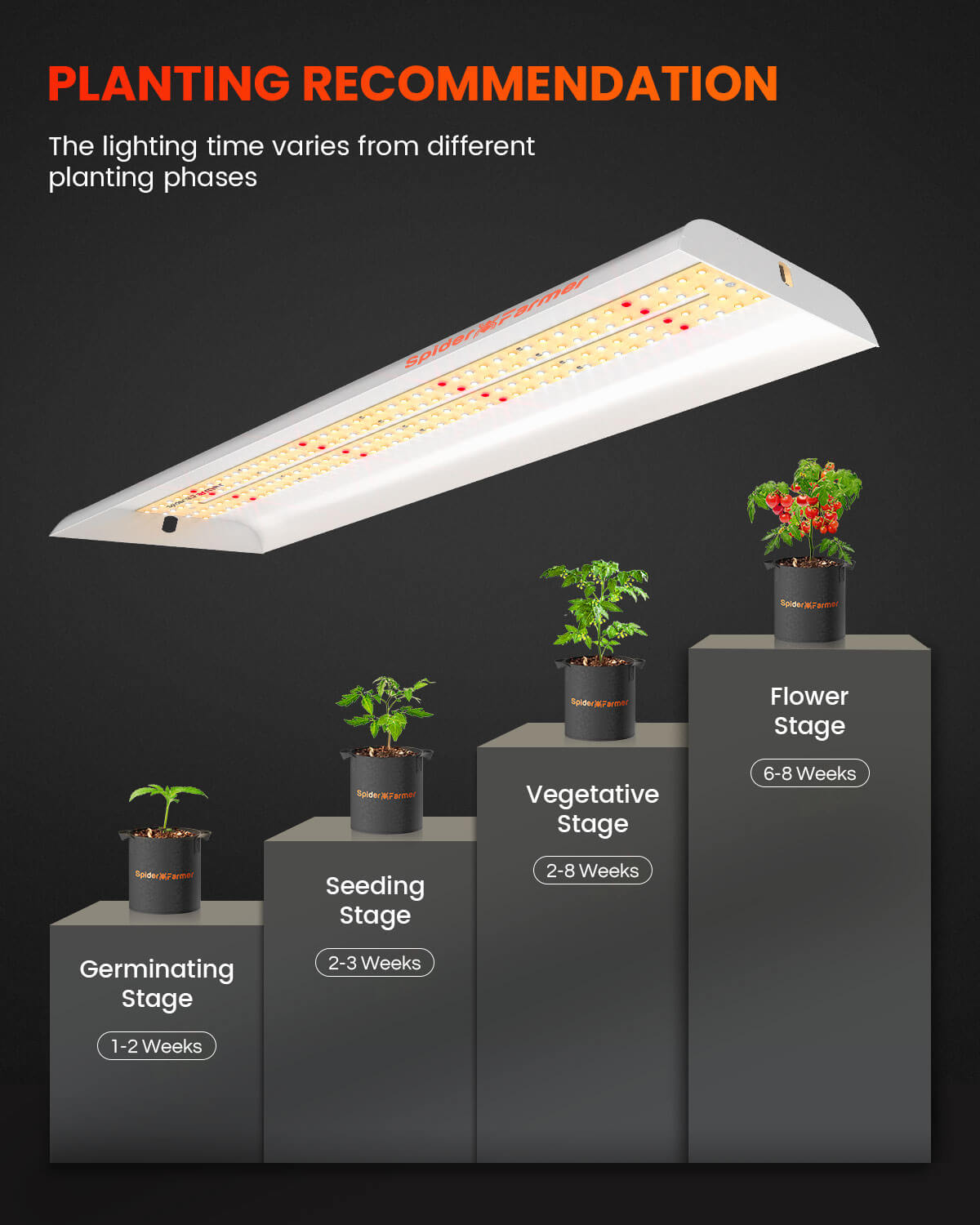 2PCS SF300 Vegetable Grow Light | Indoor Plants | Spider Farmer