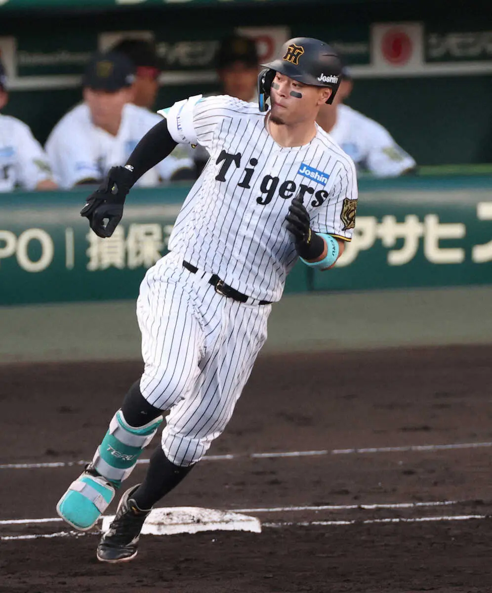 記事全文】阪神・佐藤輝明 第1打席終え瞬間的“3冠王”!「データを見