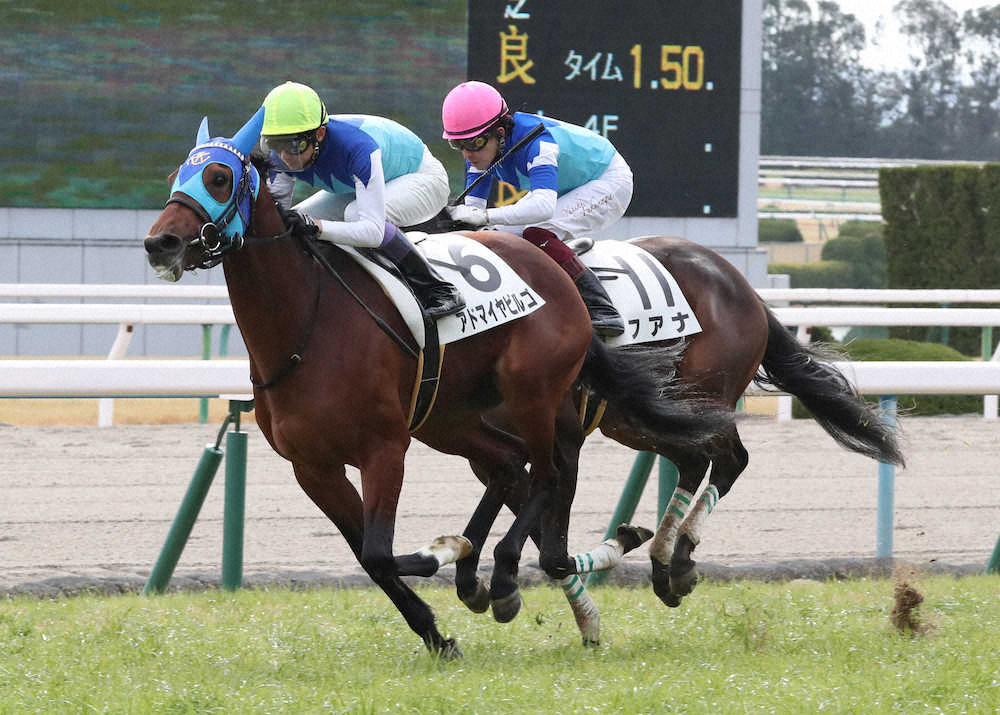 京都新馬戦】武豊09年12月以来「アドマイヤ」の勝負服でアドマイヤ