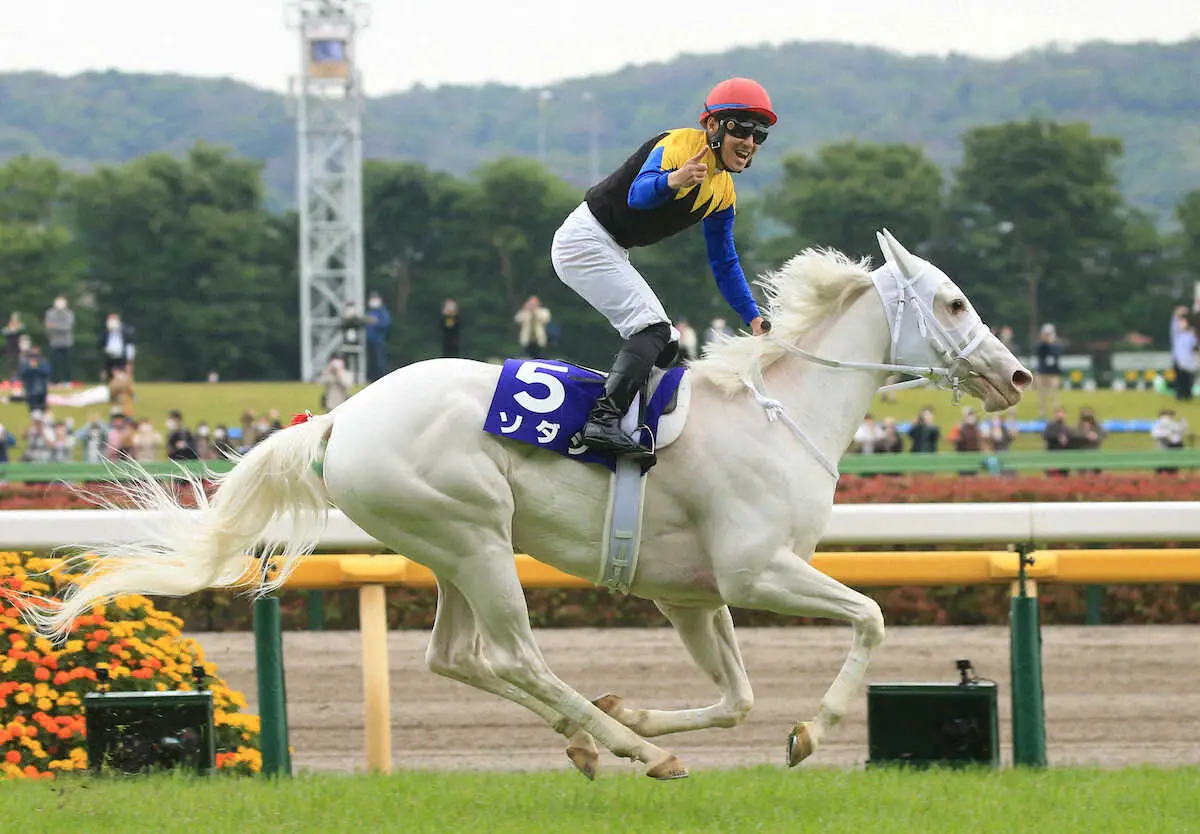 白毛のアイドルホース・ソダシ、脚部不安で電撃引退…繁殖入り G1・3勝