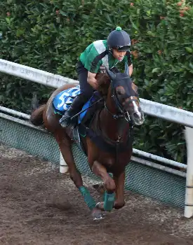 記事全文】【追憶の京都記念】00年テイエムオペラオー 6戦ぶりに勝った