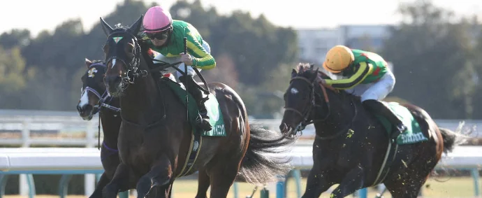 94年天皇賞・秋制覇 ネーハイシーザー死す - スポニチ競馬Web