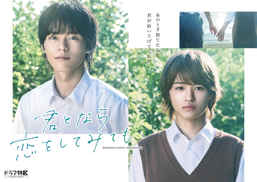 君となら恋をしてみてもBlu-ray | SDP