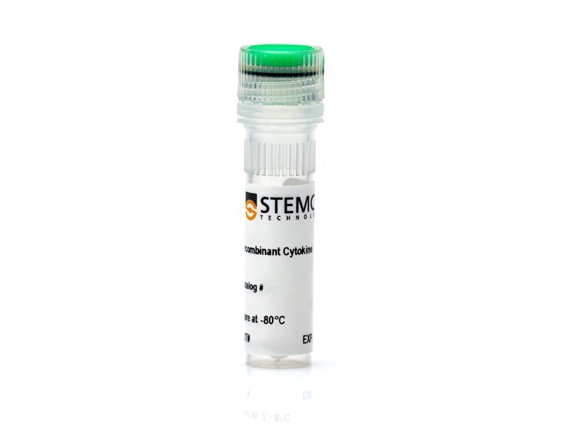 Human Recombinant IL-21 | STEMCELL Technologies