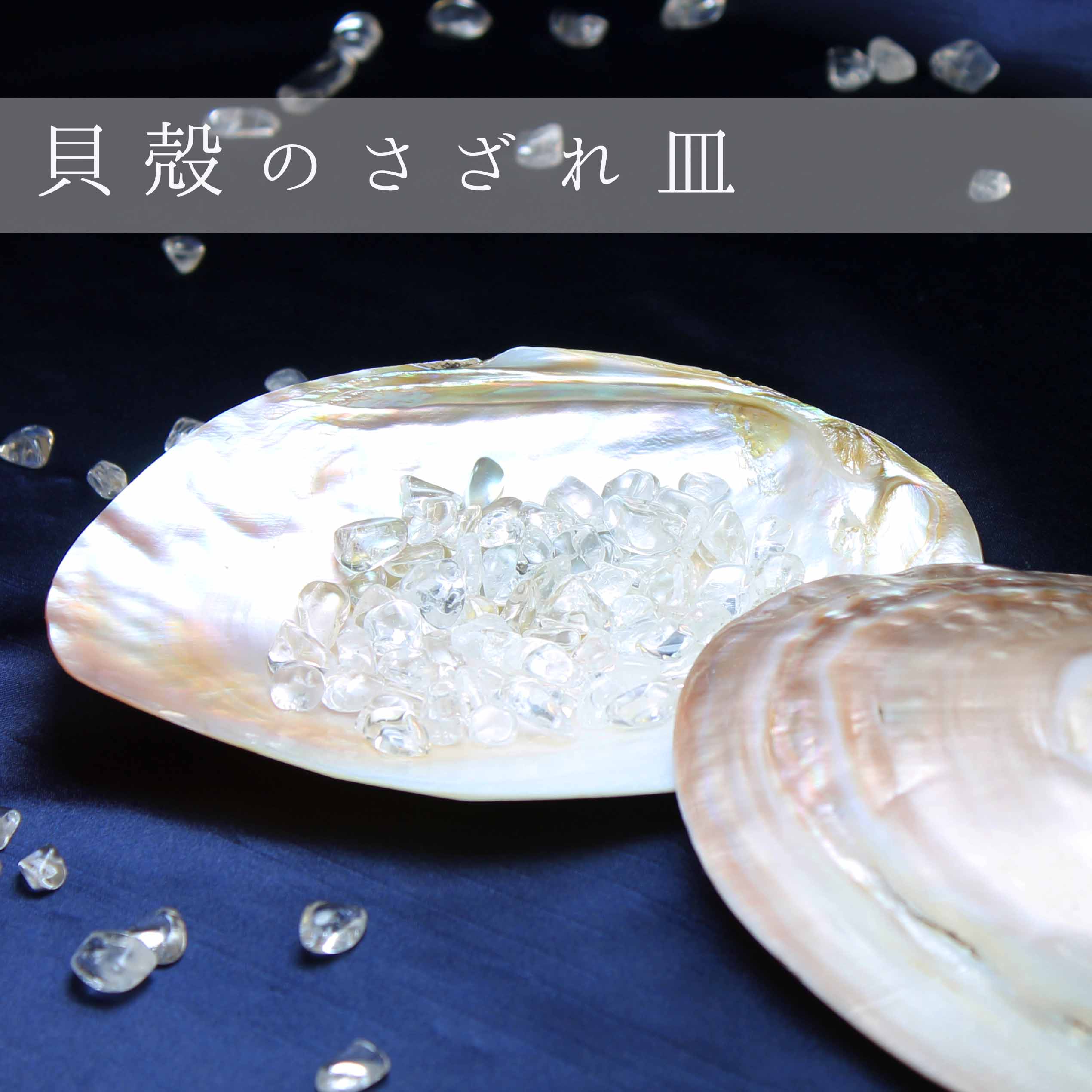 イケチョウ貝 シェル さざれ お皿 10×15cm 品番： 1090810908｜浄化