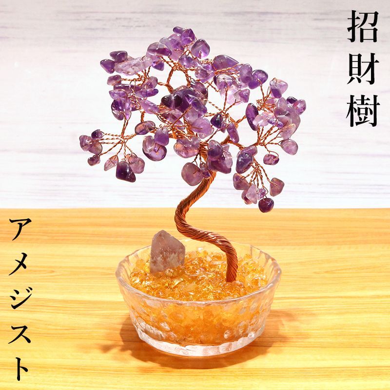 招財樹 植木 アメジスト 金のなる木 風水 財運 健康運 仕事運 縁起物