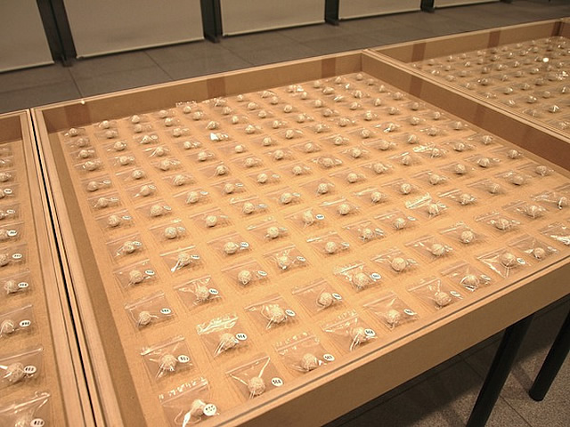 作品展示台 – ストーリオ
