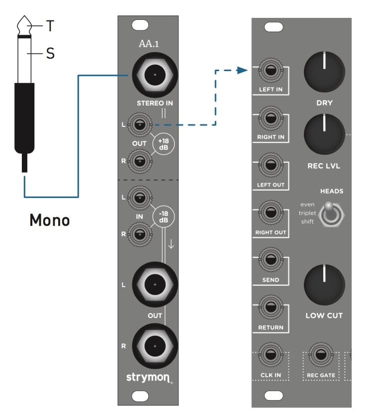 AA.1 Support - Strymon