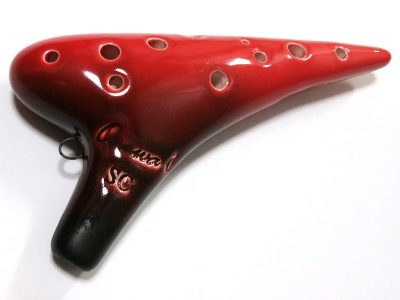 oosawaSC-Si-400x300.jpg
