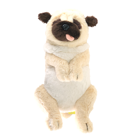 pug_aomuke.jpg