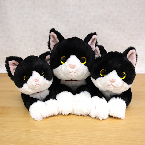 ひざねこ ぬいぐるみ(S) ハチワレ - サンレモン